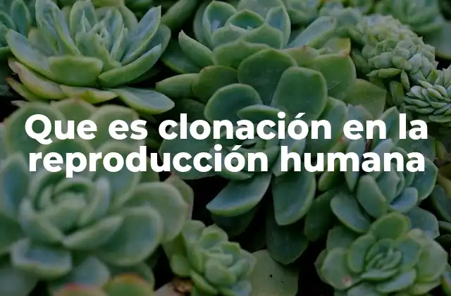 Que es Clonación en la Reproducción Humana