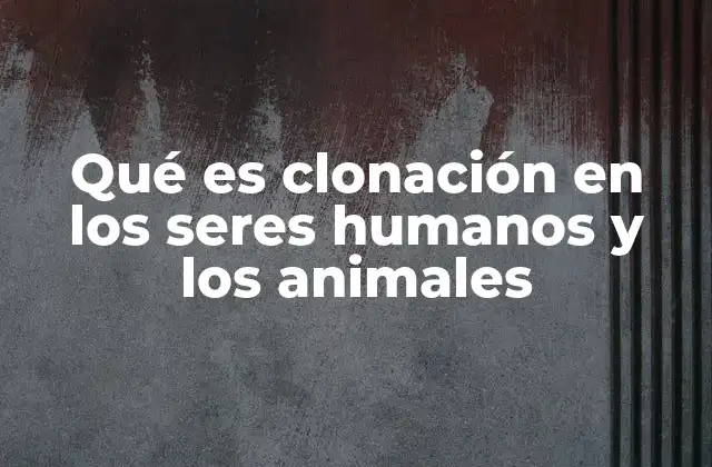 Qué es Clonación en los Seres Humanos y los Animales
