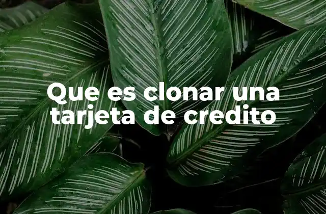 Que es Clonar una Tarjeta de Credito