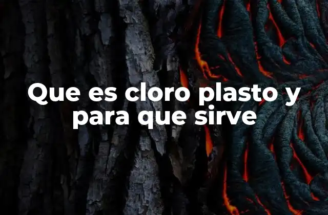 Que es Cloro Plasto y para que Sirve