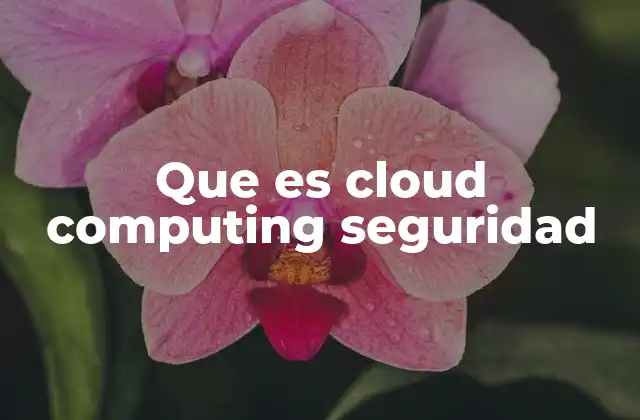 Que es Cloud Computing Seguridad