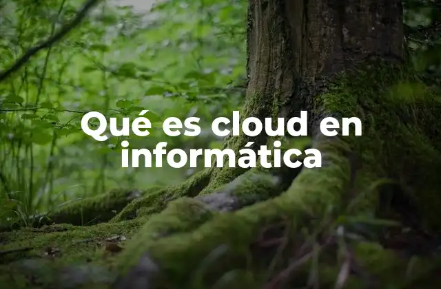 Qué es Cloud en Informática