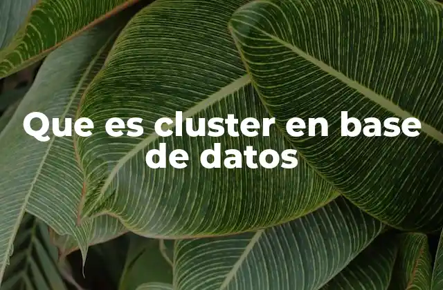 Que es Cluster en Base de Datos