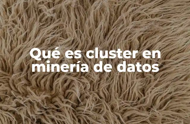 Aplicaciones del clúster en minería de datos