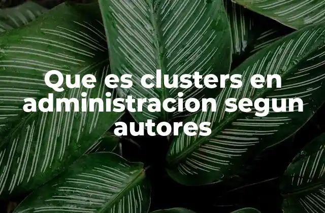 Que es Clusters en Administracion Segun Autores