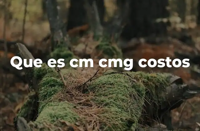 Que es Cm Cmg Costos