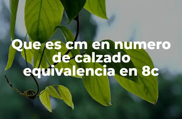 Que es Cm en Numero de Calzado Equivalencia en 8c