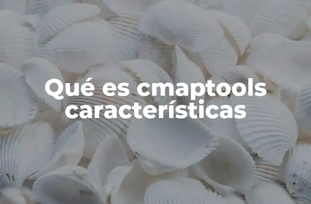 Qué es Cmaptools Características
