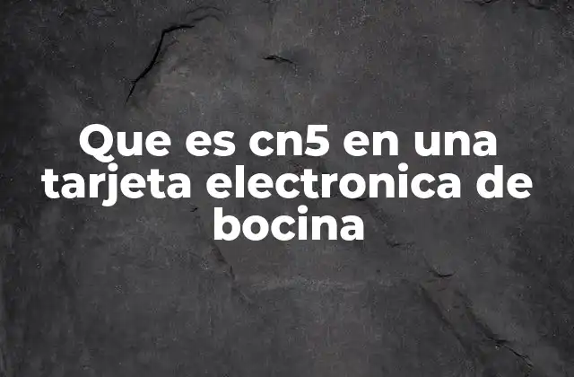 Que es Cn5 en una Tarjeta Electronica de Bocina 2 El rol de los conectores en el funcionamiento de una bocina