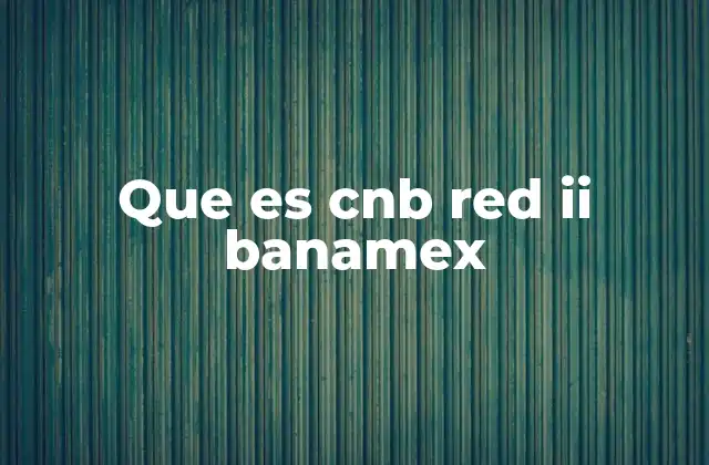 Que es Cnb Red Ii Banamex