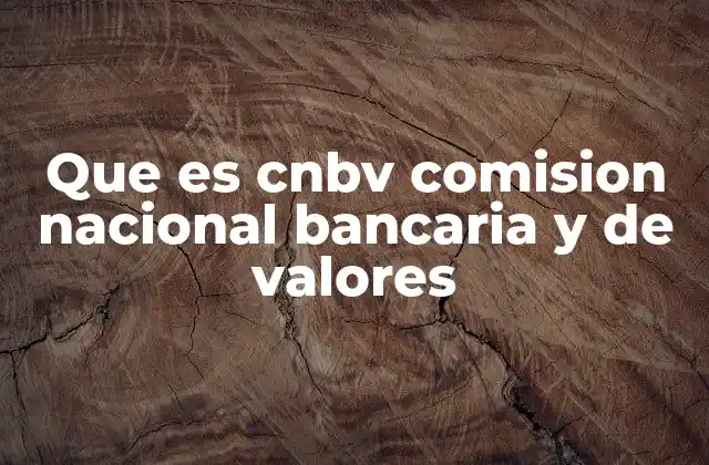 Que es Cnbv Comision Nacional Bancaria y de Valores