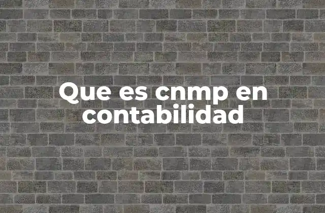 Que es Cnmp en Contabilidad