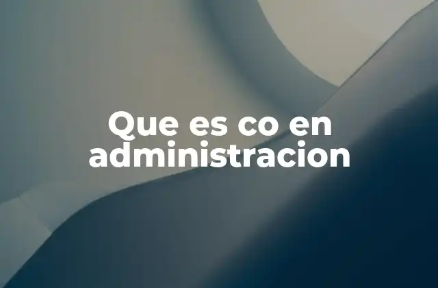 Que es Co en Administracion