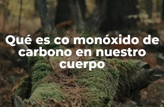Qué es Co Monóxido de Carbono en Nuestro Cuerpo