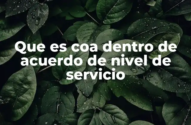 Que es Coa Dentro de Acuerdo de Nivel de Servicio