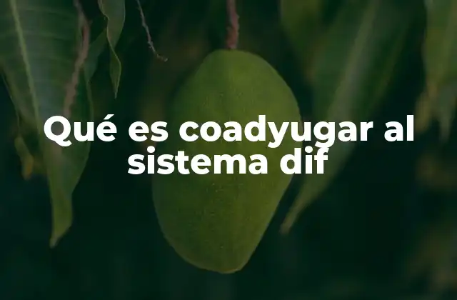 Qué es Coadyugar Al Sistema Dif
