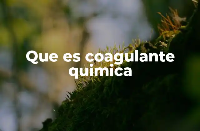 Que es Coagulante Quimica 2 El papel de los coagulantes en el tratamiento de aguas