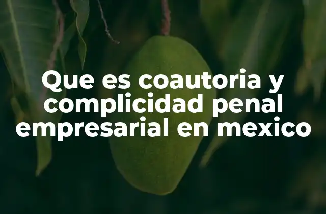 Que es Coautoria y Complicidad Penal Empresarial en Mexico
