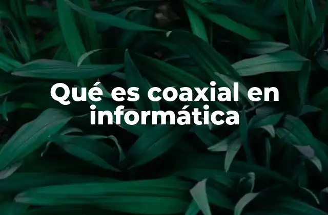 Qué es Coaxial en Informática 2 Características del cable coaxial en informática