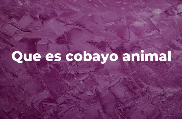 Que es Cobayo Animal