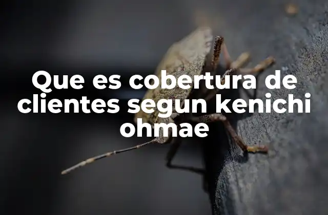 La importancia de una cobertura de clientes bien definida