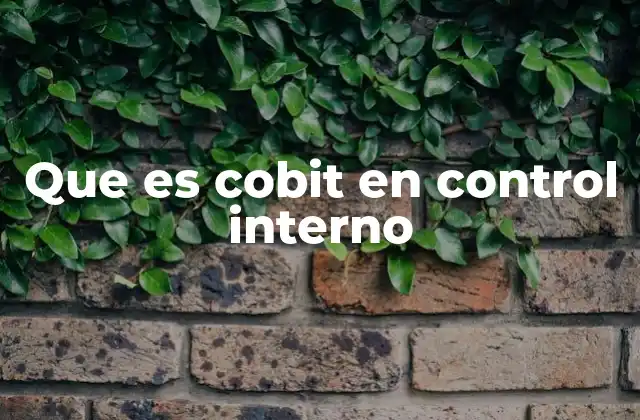 Que es Cobit en Control Interno