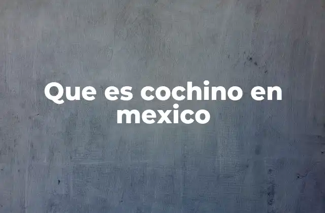 Que es Cochino en Mexico