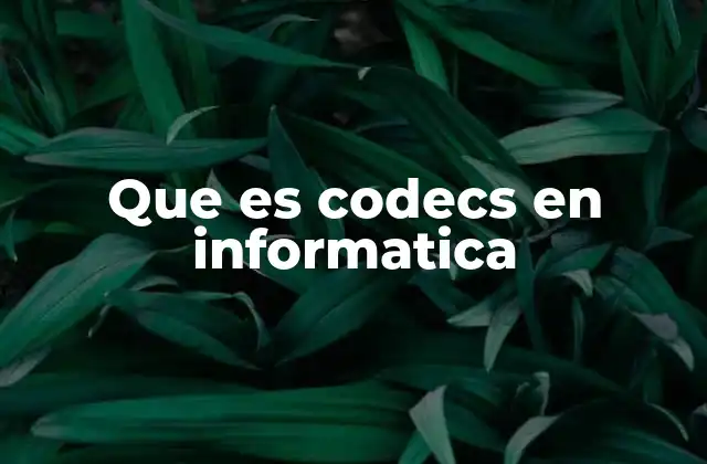 Que es Codecs en Informatica