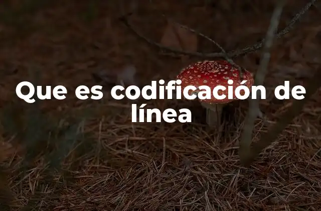 Que es Codificación de Línea