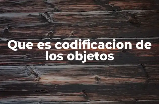 Que es Codificacion de los Objetos 2 La importancia de estructurar el mundo a través de representaciones simbólicas