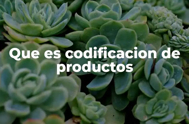 Que es Codificacion de Productos