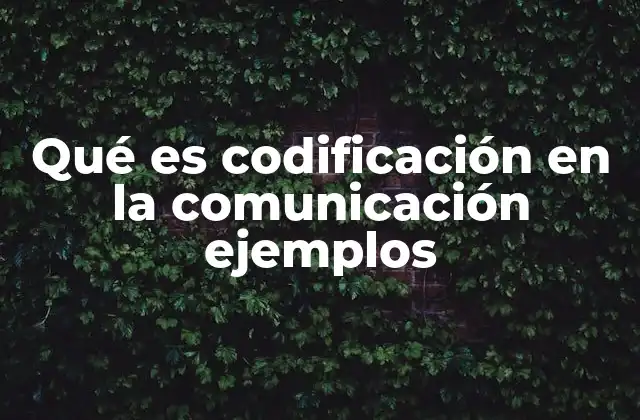Qué es Codificación en la Comunicación Ejemplos