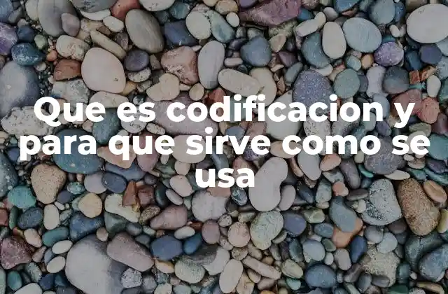 Que es Codificacion y para que Sirve como Se Usa