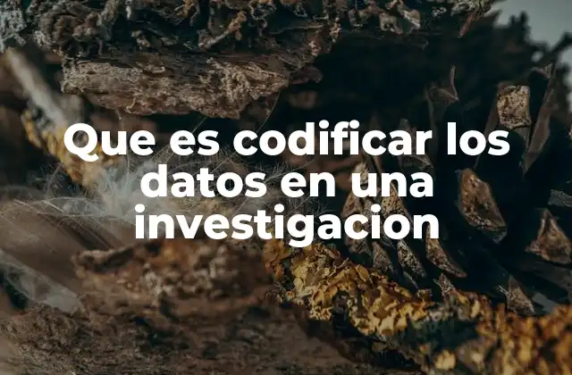 Que es Codificar los Datos en una Investigacion