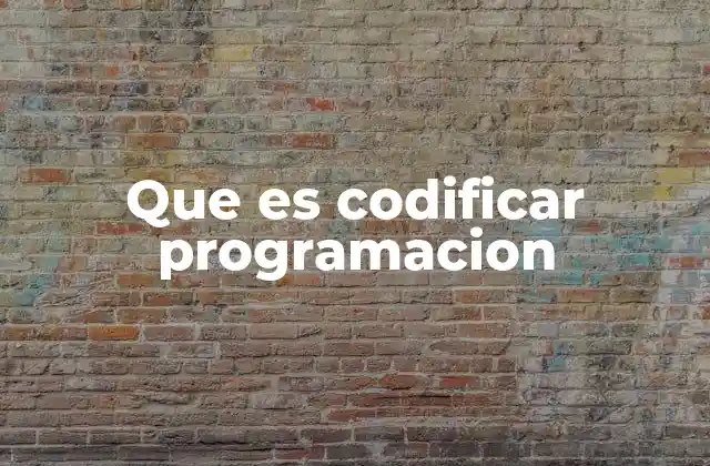 Que es Codificar Programacion