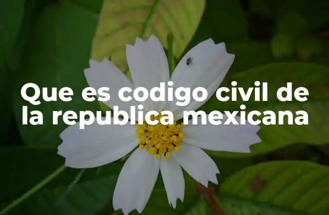 Que es Codigo Civil de la Republica Mexicana