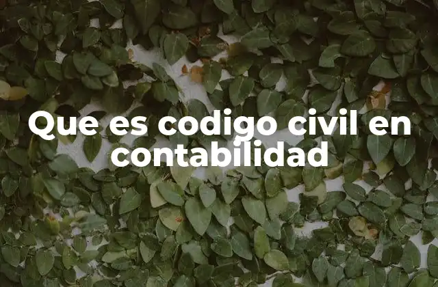 Que es Codigo Civil en Contabilidad