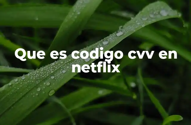Que es Codigo Cvv en Netflix