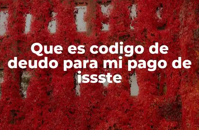 Que es Codigo de Deudo para Mi Pago de Issste