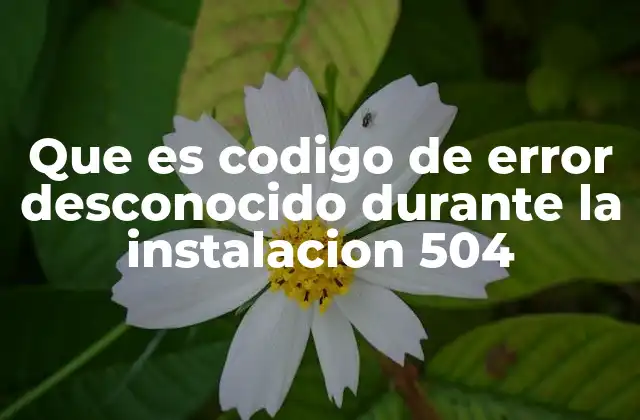 Que es Codigo de Error Desconocido durante la Instalacion 504
