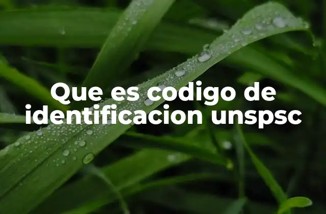 Que es Codigo de Identificacion Unspsc