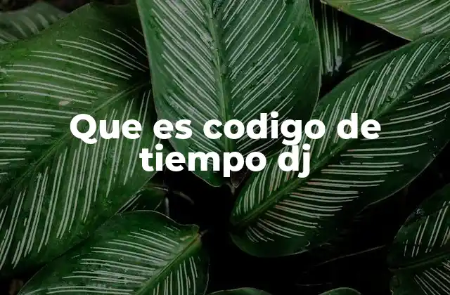 Que es Codigo de Tiempo Dj