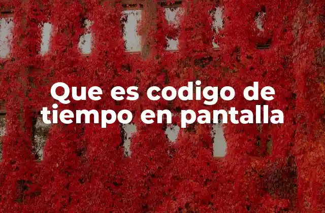 Que es Codigo de Tiempo en Pantalla