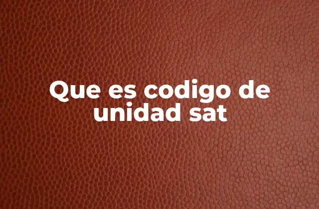 Que es Codigo de Unidad Sat