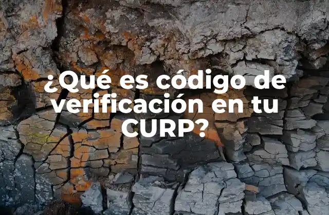 ¿qué es Código de Verificación en Tu Curp?