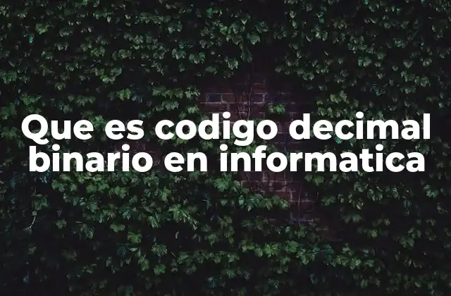 Que es Codigo Decimal Binario en Informatica