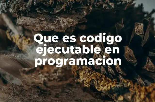 Que es Codigo Ejecutable en Programacion