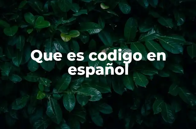 Que es Codigo en Español