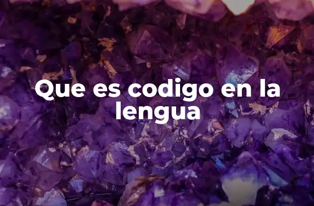 Que es Codigo en la Lengua