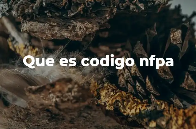 Que es Codigo Nfpa
